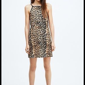 minkpink leopard mini dress